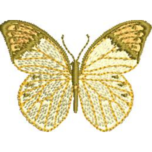 Unique Butterfly Embroidery Design