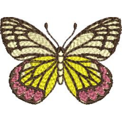 Best Butterfly Embroidery Design