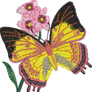 Butterfly Embroidery Design