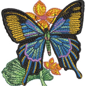 Latest Butterfly Embroidery Design