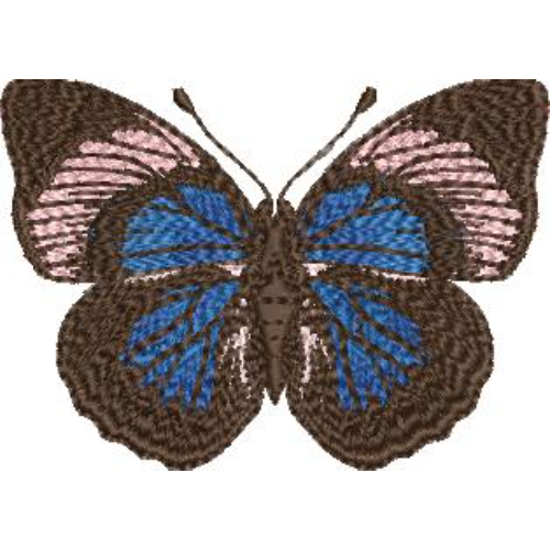 Beautiful Butterfly Embroidery Design