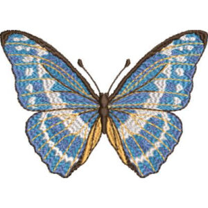 Unique Butterfly Embroidery Design