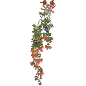 Neck Flower Embroidery Design