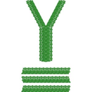 Neck Gala Embroidery Design