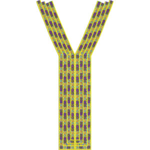 Neck Gala Embroidery Design