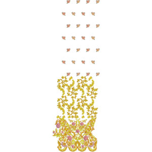 Beautiful Border Daman Embroidery Design