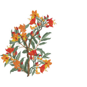 Simple Flower Embroidery Design