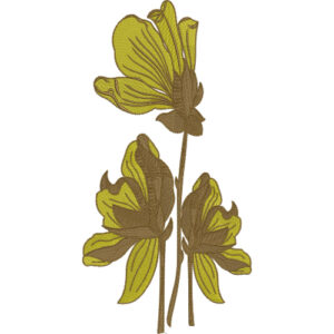 Best Flower Embroidery Design