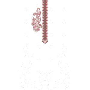 Minimal Ornamental Neckline Embroidery Design with Vertical Panel and Paisley Accent
