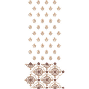 Elegant Buti Sherwani Embroidery Design with Ornamental Diamond Border Panel