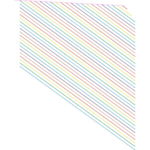 Elegant Diagonal Parallel Stripe Decorative Lace Embroidery Design