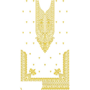 Elegant Embroidered Neckline Front Dress Design